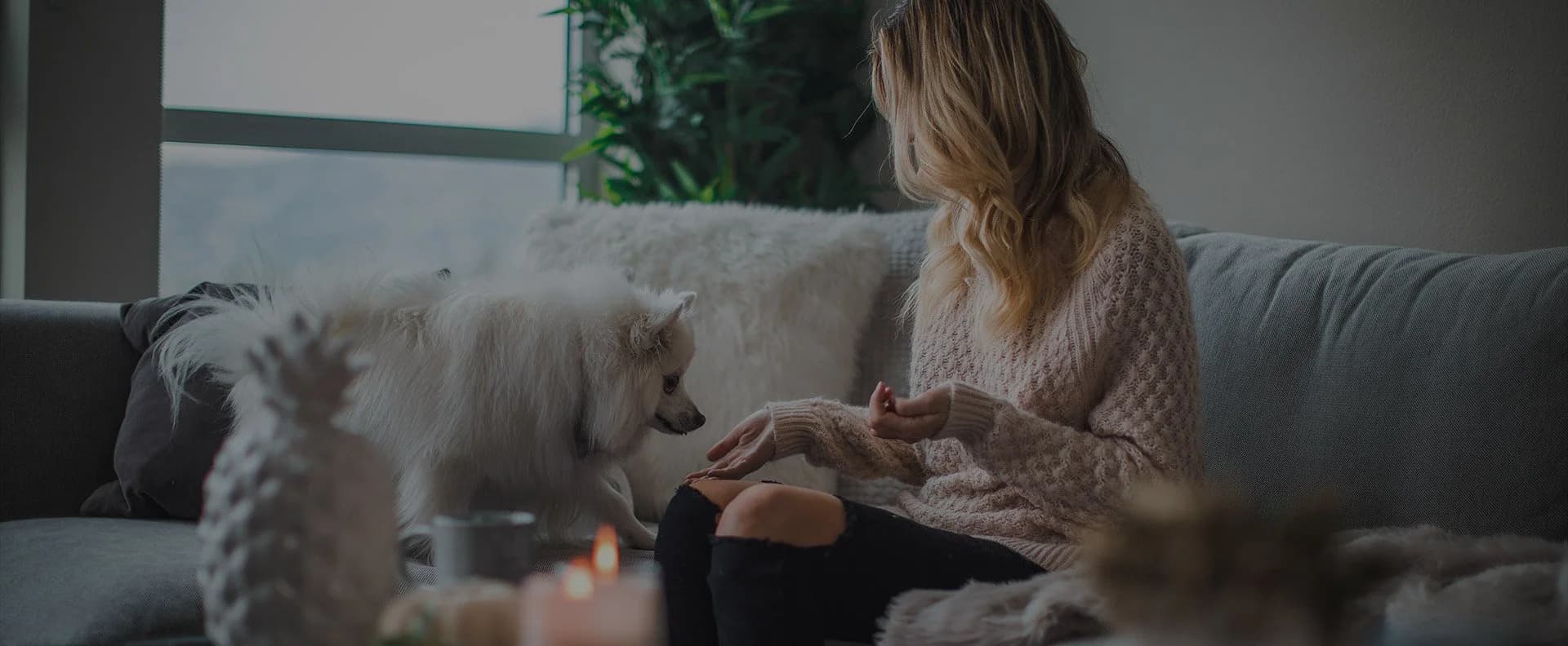 Tenant relaxing on a sofa in a clean, well-kept shared house living room